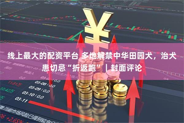 线上最大的配资平台 多地解禁中华田园犬，治犬患切忌“折返跑”｜封面评论